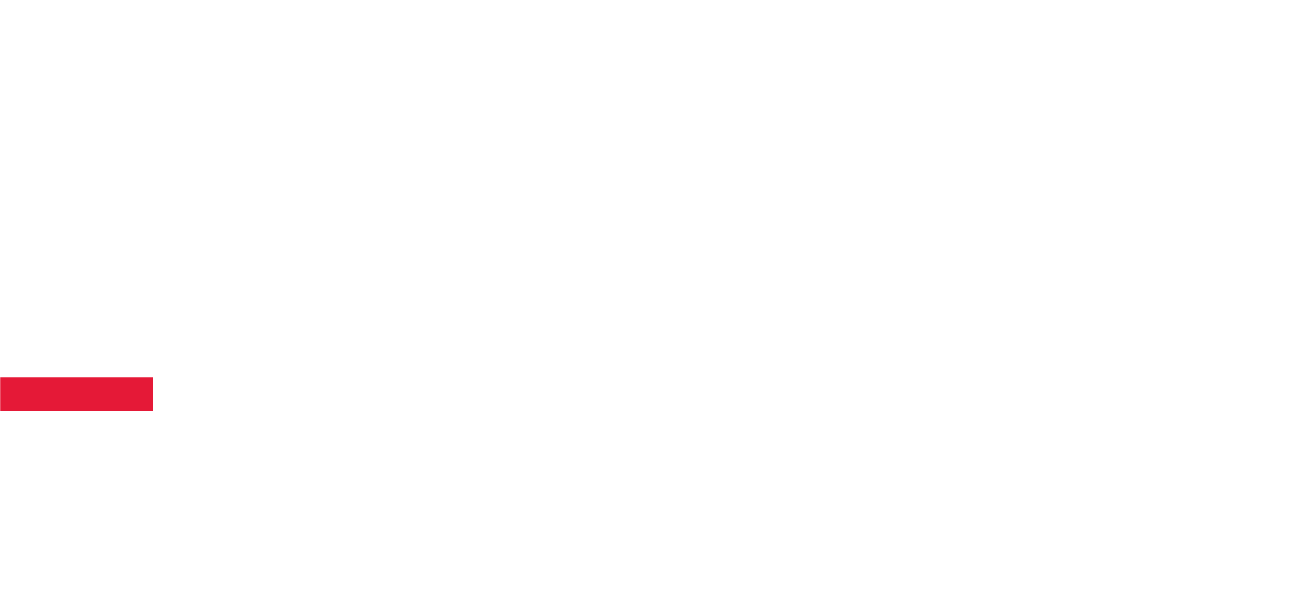 University of Tampa Cruise Logo